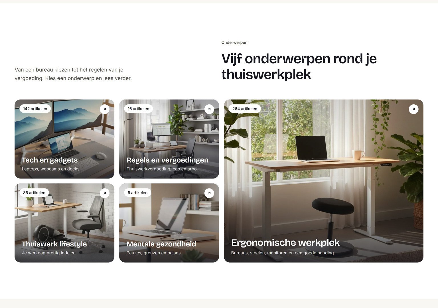 De vijf onderwerpen op de homepage